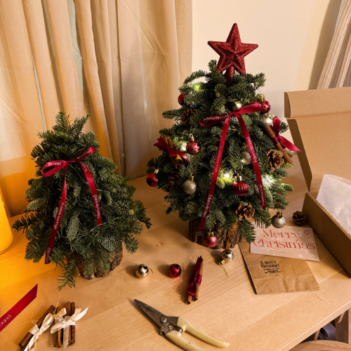 How to Care for your fresh Christmas Tree and Wreath?