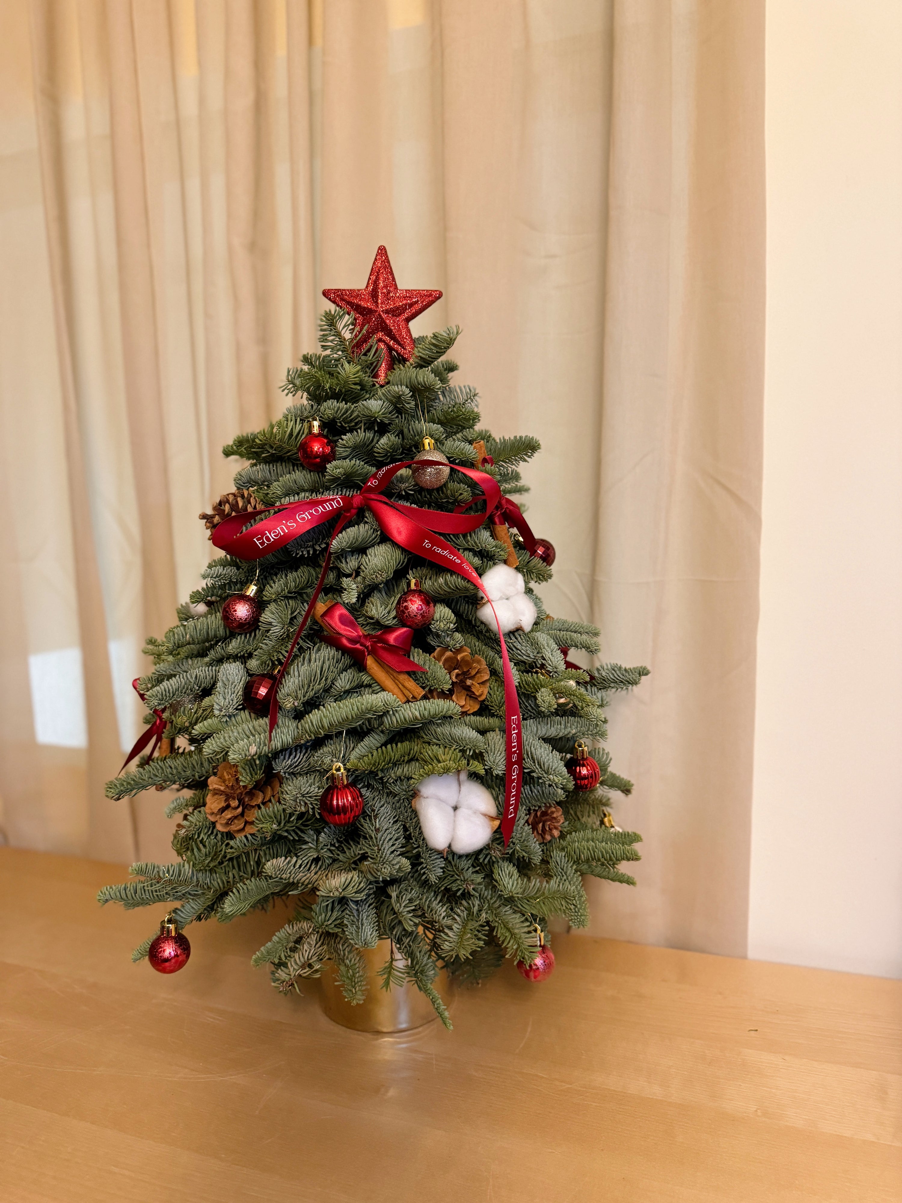 Merry Little Christmas  — Fresh Christmas Tree