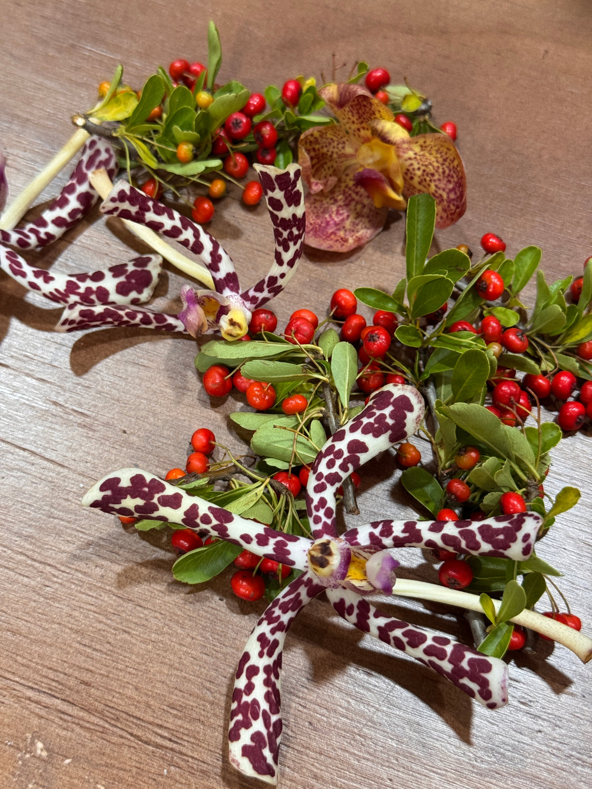 Careers Freelance Florist Hiring in Singapore