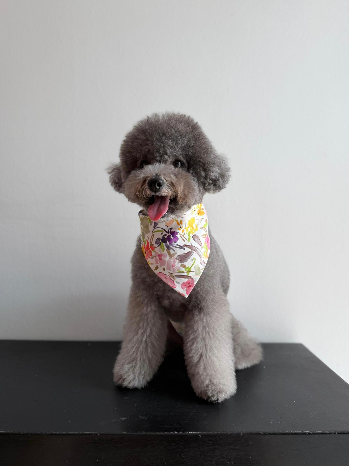 Handmade in Singapore, cats and dogs pet bandana for Christmas, by Glisten Couture.