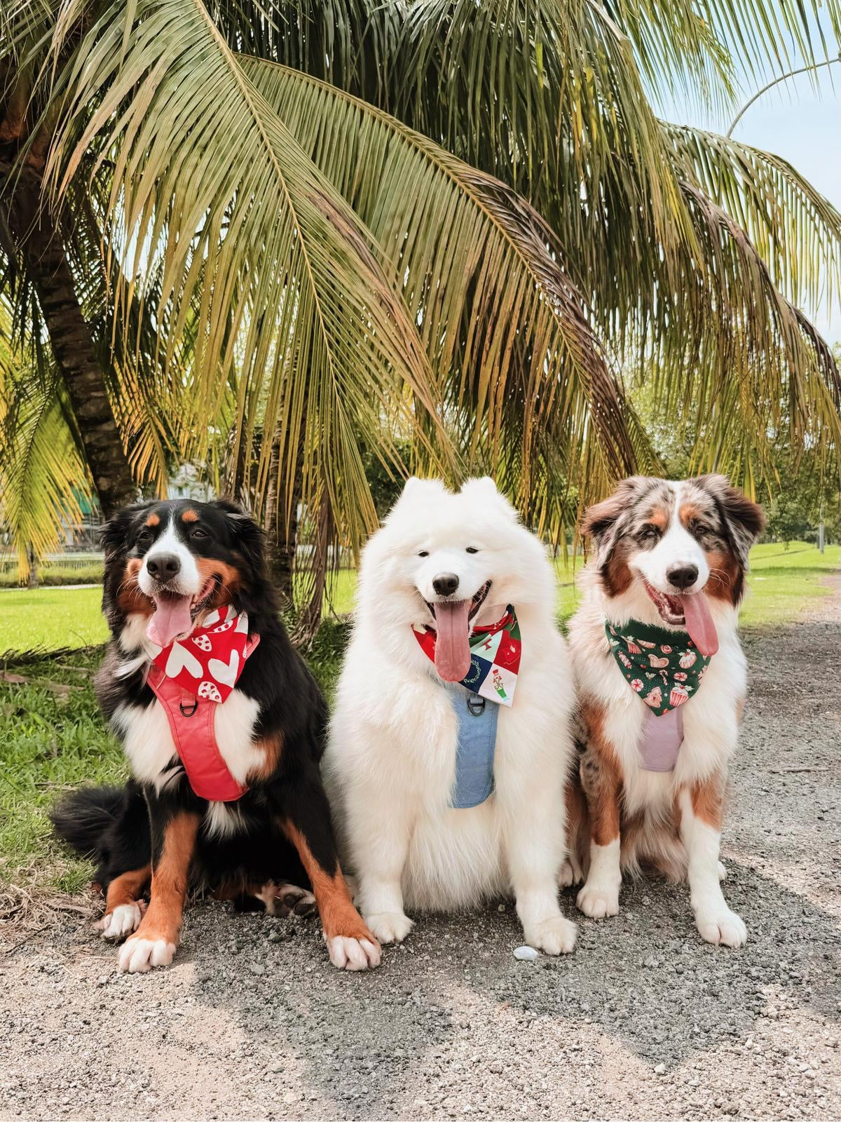 Handmade in Singapore, cats and dogs pet bandana for Christmas, by Glisten Couture.