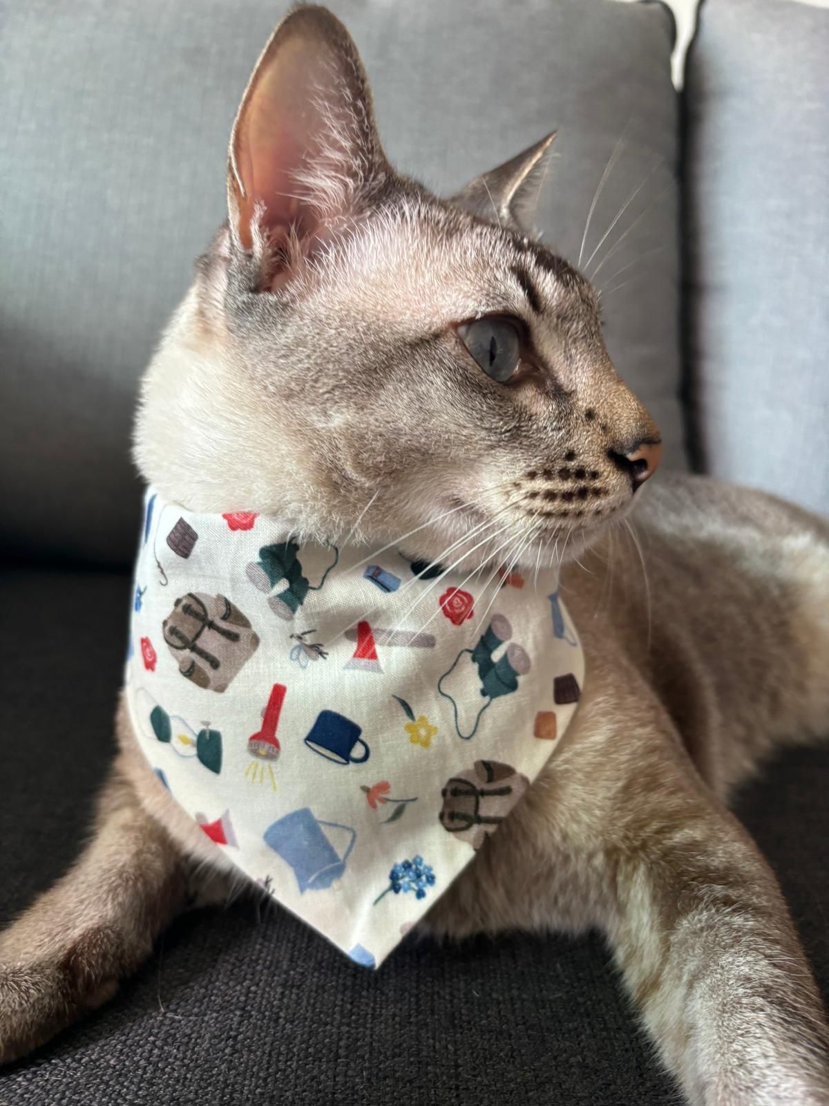 Handmade in Singapore, cats and dogs pet bandana for Christmas, by Glisten Couture.