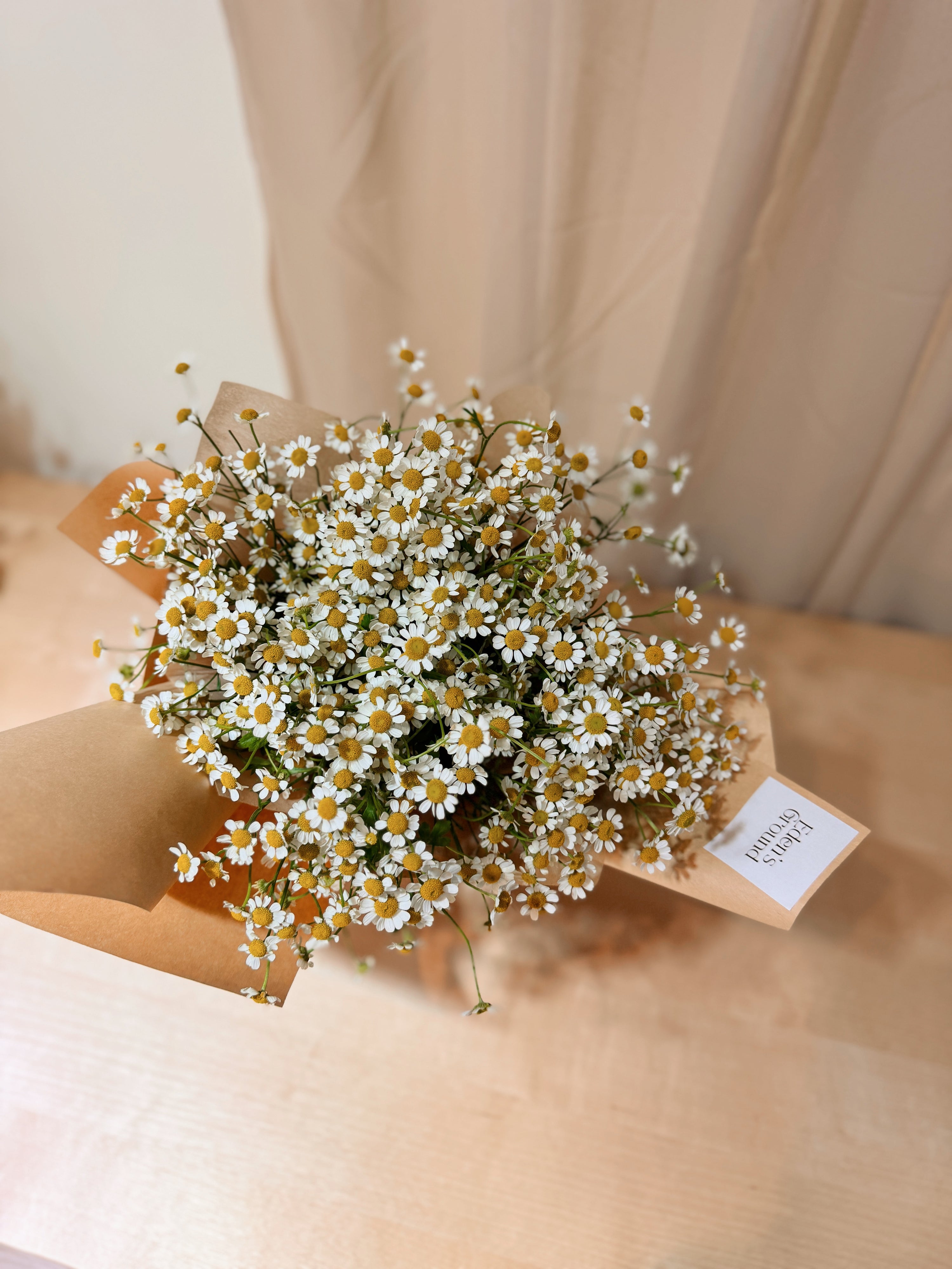 Crazies for daisies chamomile daisy bouquet wrapped in brown tissue paper and brown kraft paper crafted by Eden’s Ground.