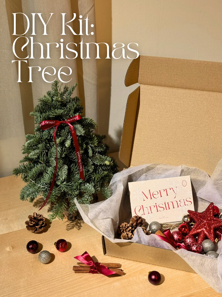 Fresh DIY Kit, Mini Tabletop Christmas Tree, decorated with baubles, ornaments, cotton, pinecones, cinnamon sticks and more by Eden's Ground, a Floral Design Studio in Singapore.