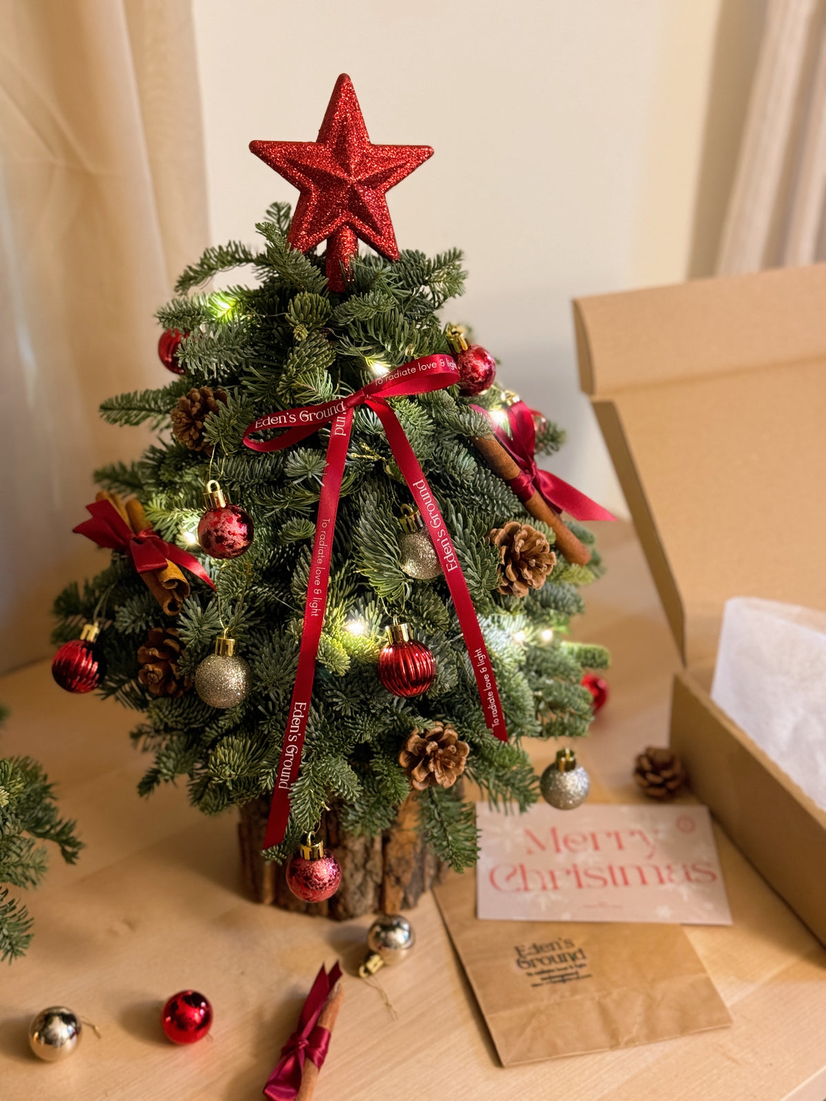 Fresh DIY Kit, Mini Tabletop Christmas Tree, decorated with baubles, ornaments, cotton, pinecones, cinnamon sticks and more by Eden's Ground, a Floral Design Studio in Singapore.