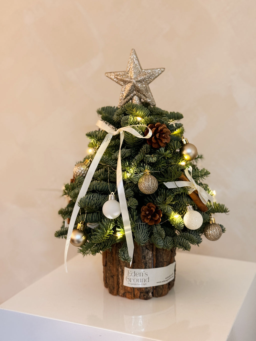 Fresh DIY Kit, Mini Tabletop Christmas Tree, decorated with baubles, ornaments, cotton, pinecones, cinnamon sticks and more by Eden's Ground, a Floral Design Studio in Singapore.