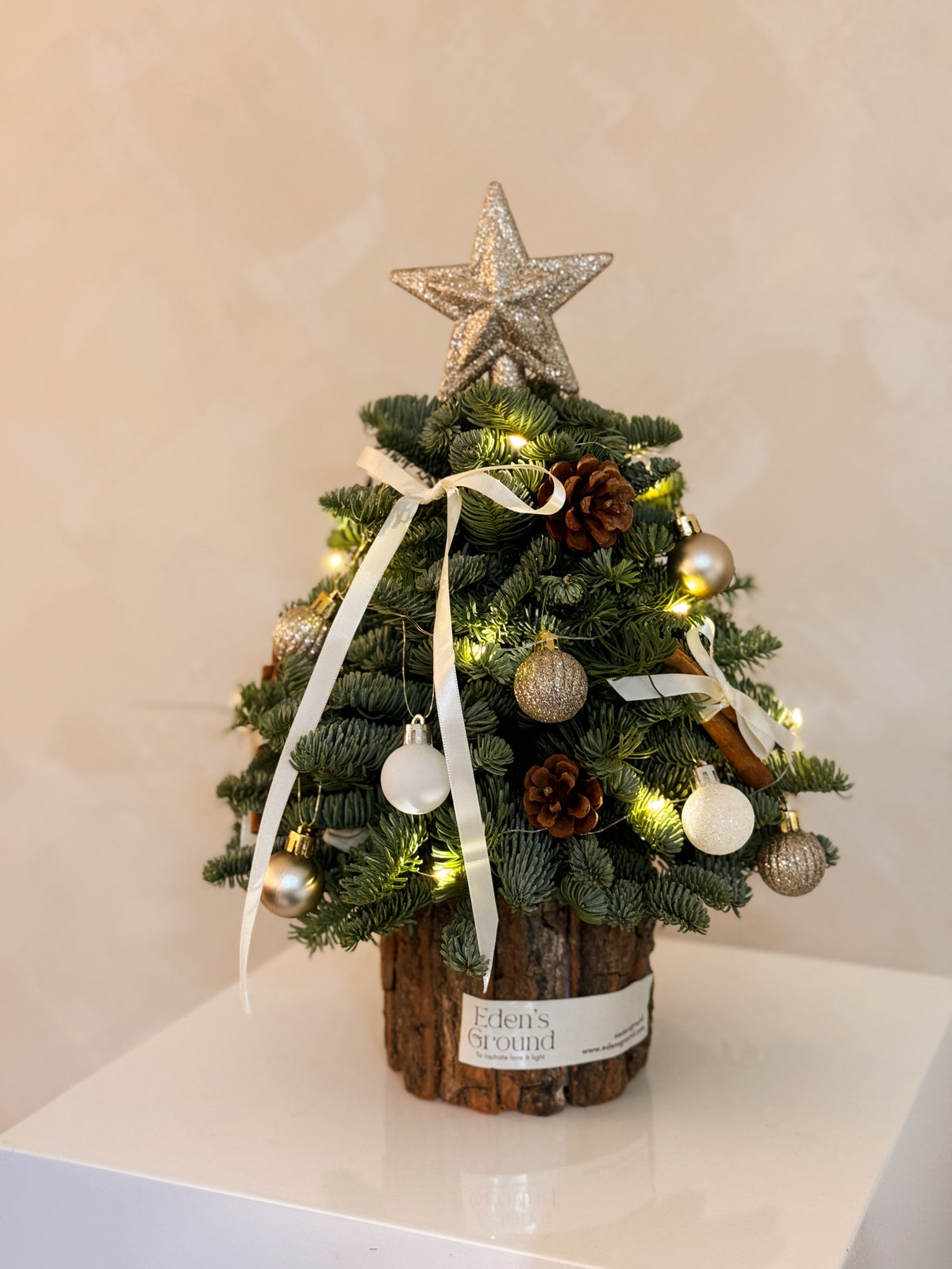 Fresh DIY Kit, Mini Tabletop Christmas Tree, decorated with baubles, ornaments, cotton, pinecones, cinnamon sticks and more by Eden's Ground, a Floral Design Studio in Singapore.