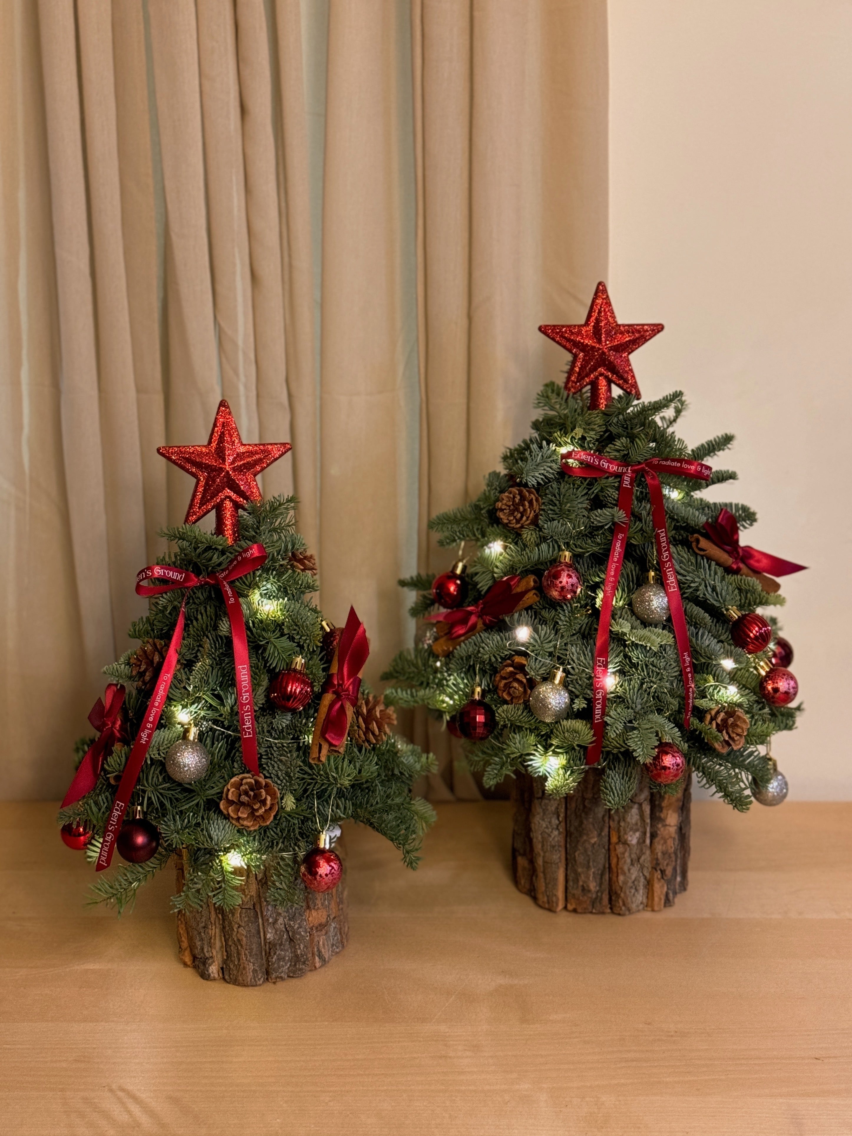 DIY Kit: Mini Fresh Christmas Tree