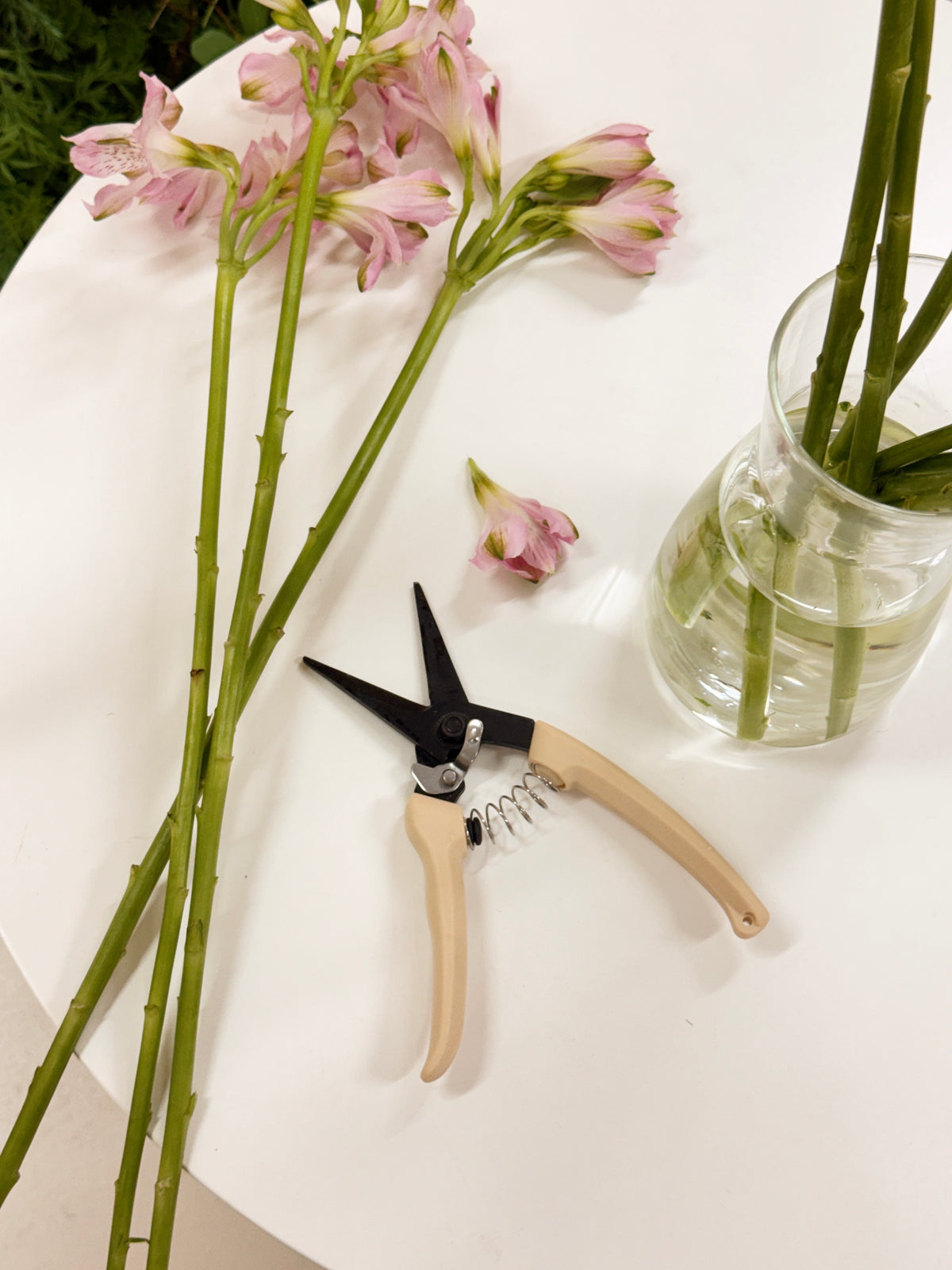 Florist cutter, suitable for flower arranging, gardening, trimming, pruning flowers etc. Available at Eden's Ground, a floral design boutique.