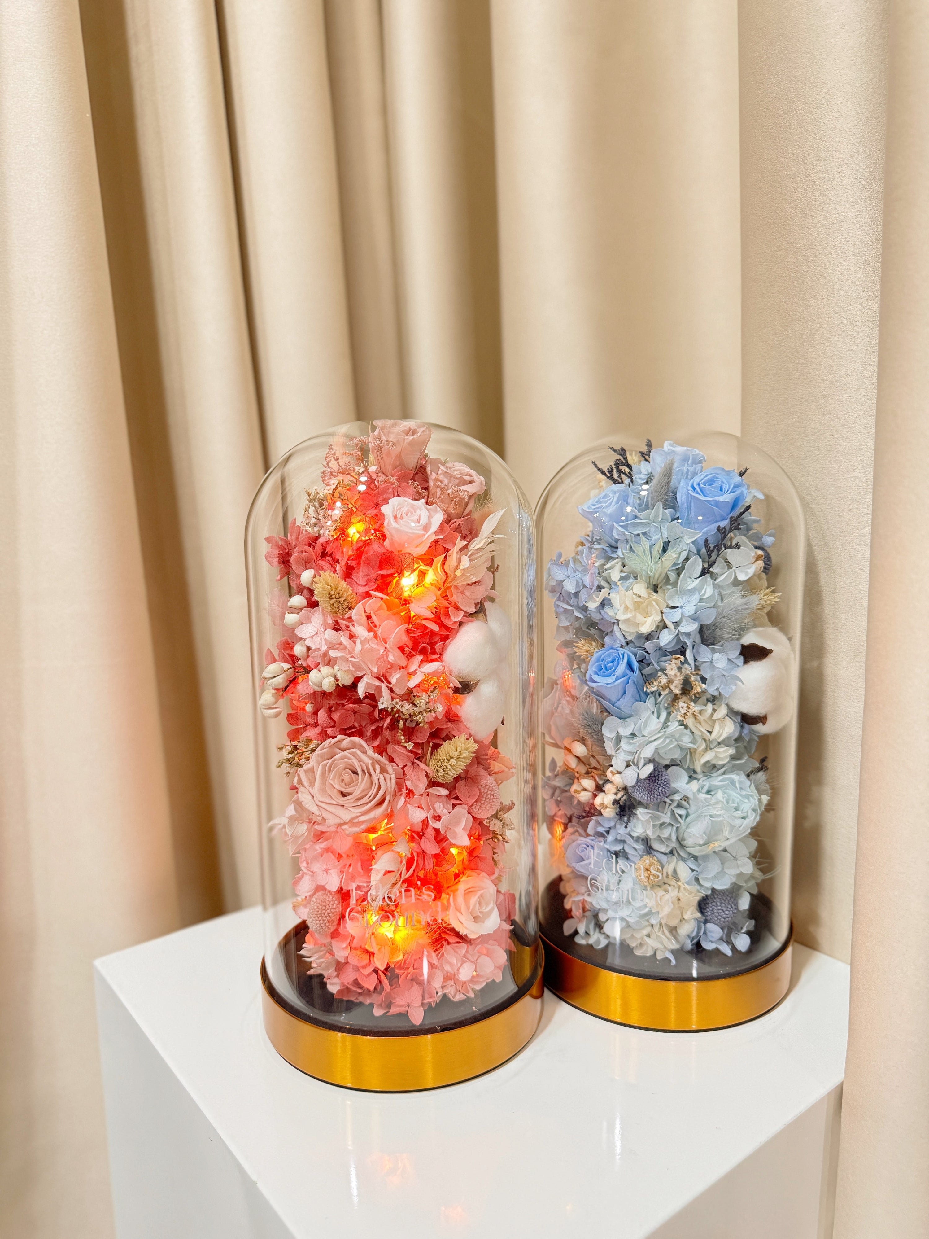 Preserved flower dome with pink or blue blooms for gender reveal, or customisable to preferred colours, styled in a premium lighted glass dome on a gold base. Crafted by Eden's Ground, a floral design boutique.