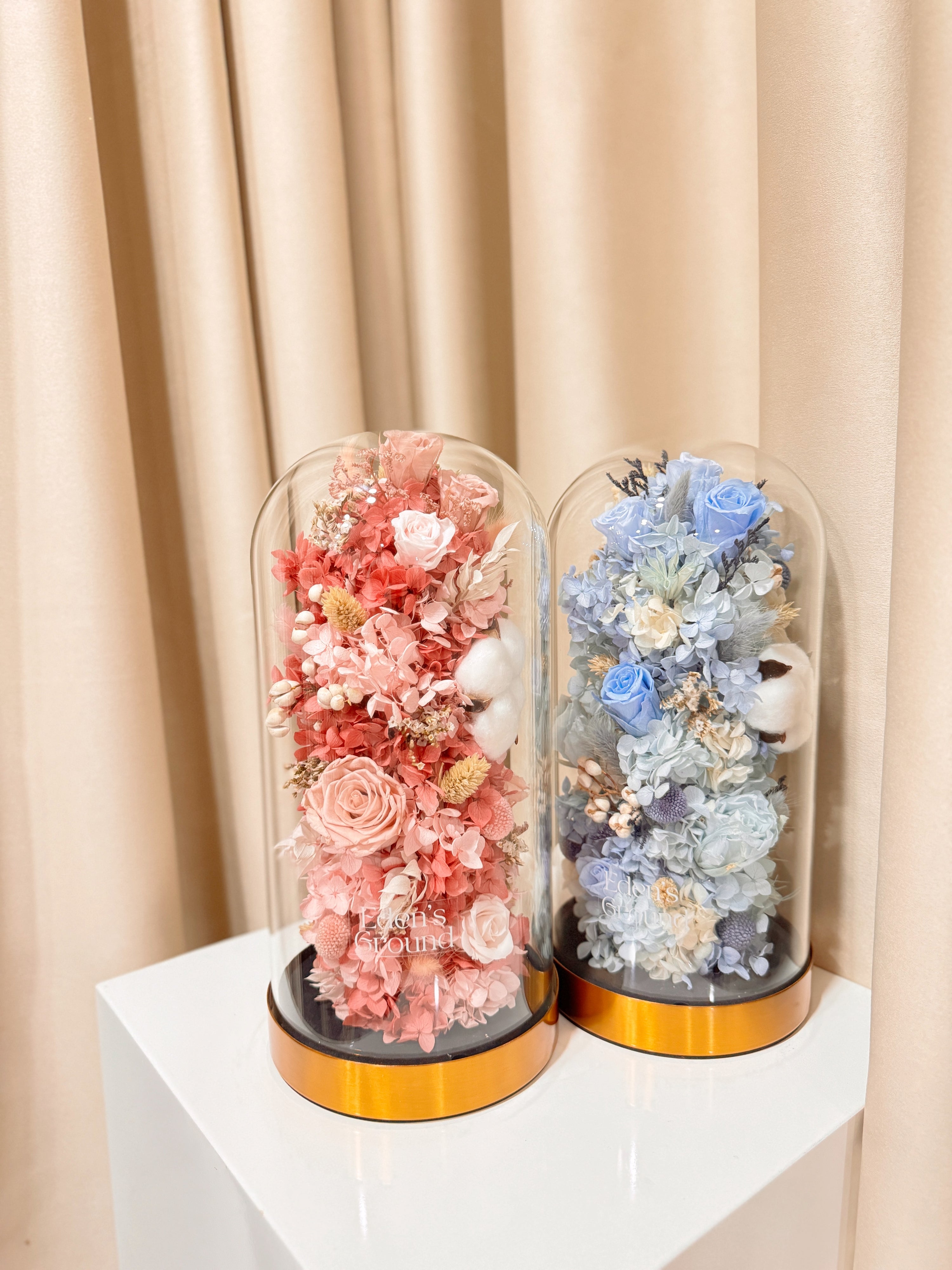 Preserved flower dome with pink or blue blooms for gender reveal, or customisable to preferred colours, styled in a premium lighted glass dome on a gold base. Crafted by Eden's Ground, a floral design boutique.
