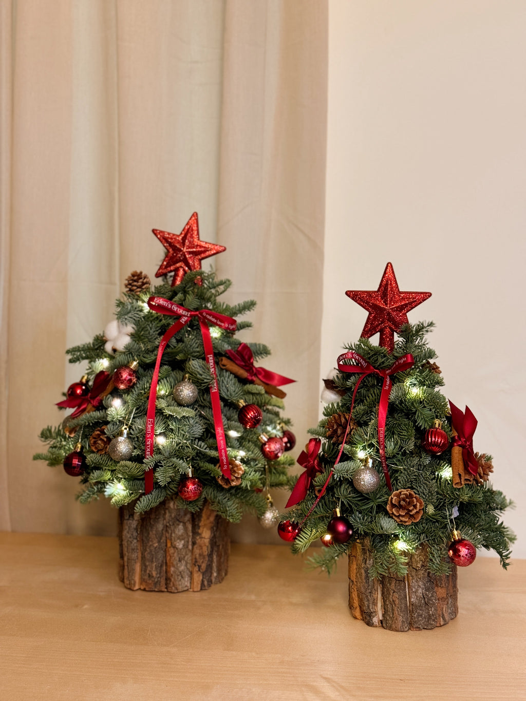 Fresh DIY Kit, Mini Tabletop Christmas Tree, decorated with baubles, ornaments, cotton, pinecones, cinnamon sticks and more by Eden's Ground, a Floral Design Studio in Singapore.