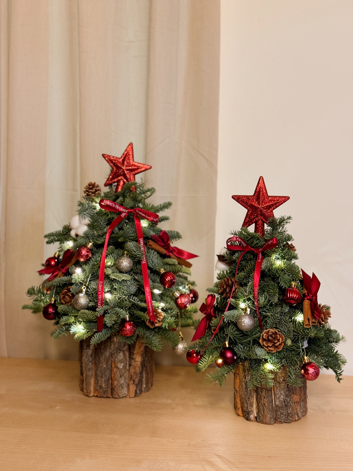 Fresh DIY Kit, Mini Tabletop Christmas Tree, decorated with baubles, ornaments, cotton, pinecones, cinnamon sticks and more by Eden's Ground, a Floral Design Studio in Singapore.