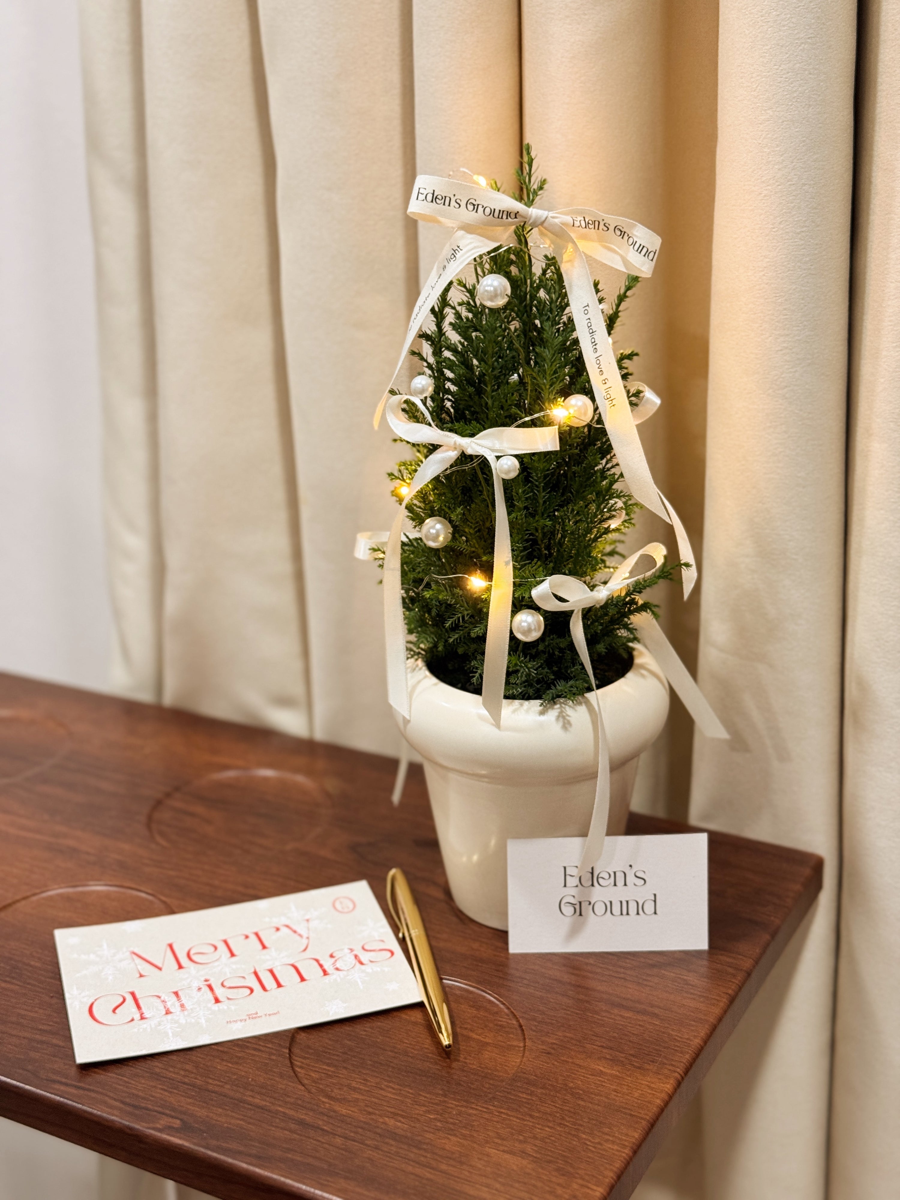 Fresh Mini Tabletop elegant and luxury Live Ellwoodii Christmas Tree, decorated with Ivory Pearls and White Ribbons by Eden's Ground, a Floral Design Studio in Singapore.