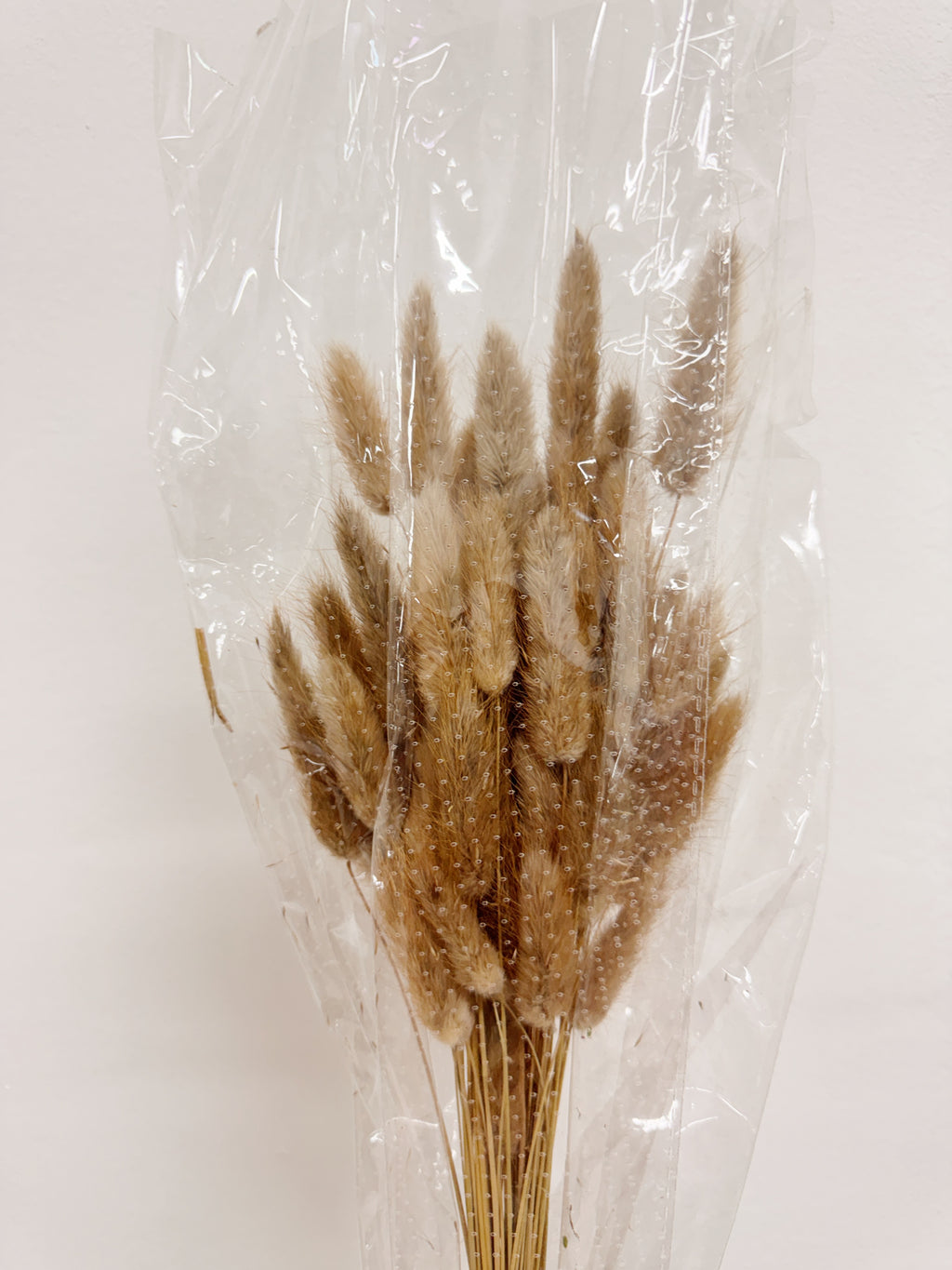 Natural bunny tail home decor, for interior styling etc. Curated by Eden's Ground, floral design studio in Singapore.