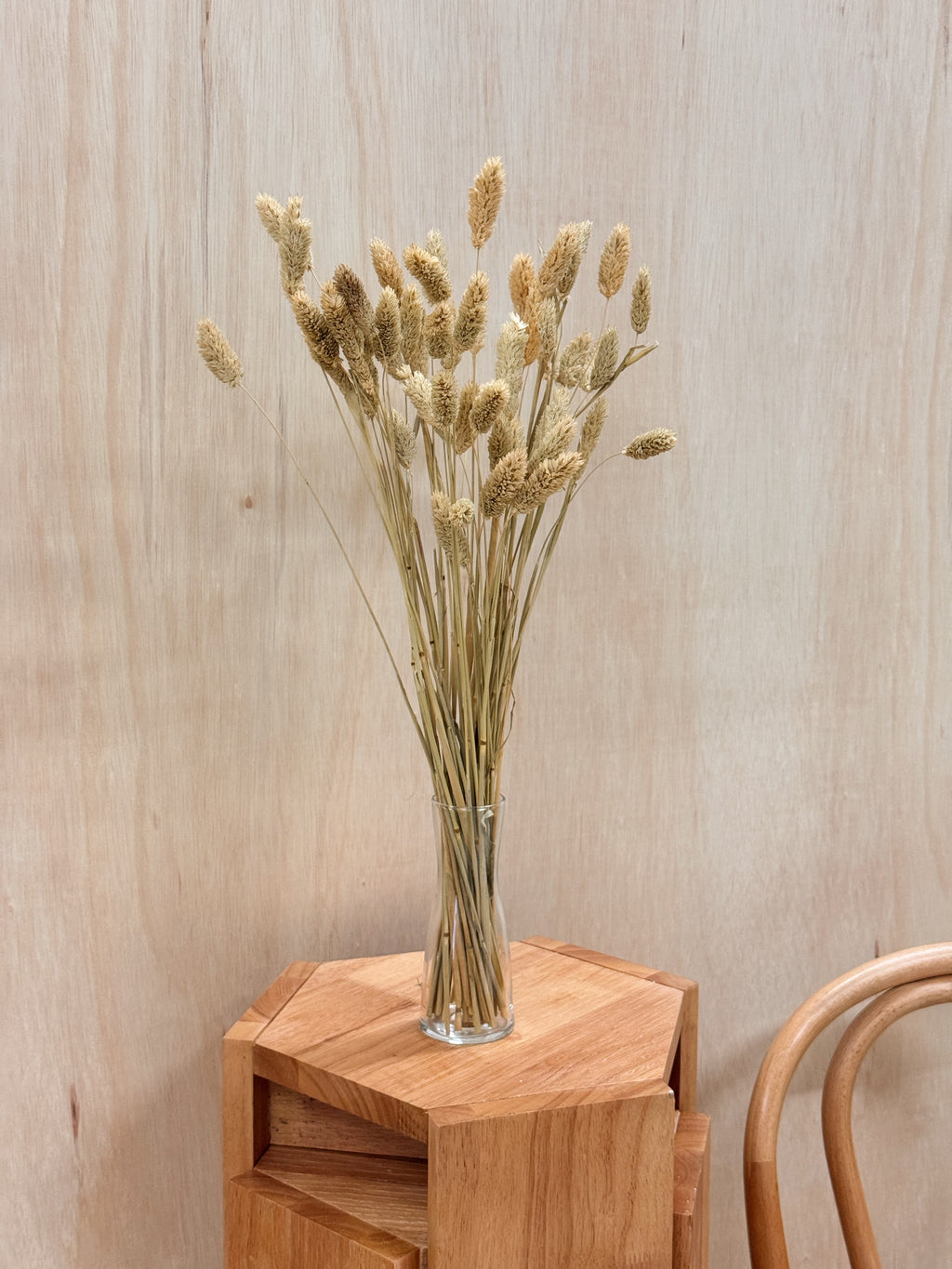 Natural dried phalaris grass home decor, for interior styling etc. Curated by Eden's Ground, floral design studio in Singapore.
