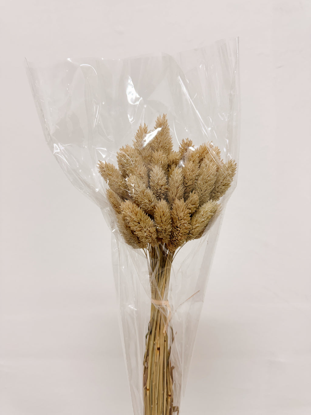 Natural dried phalaris grass home decor, for interior styling etc. Curated by Eden's Ground, floral design studio in Singapore.