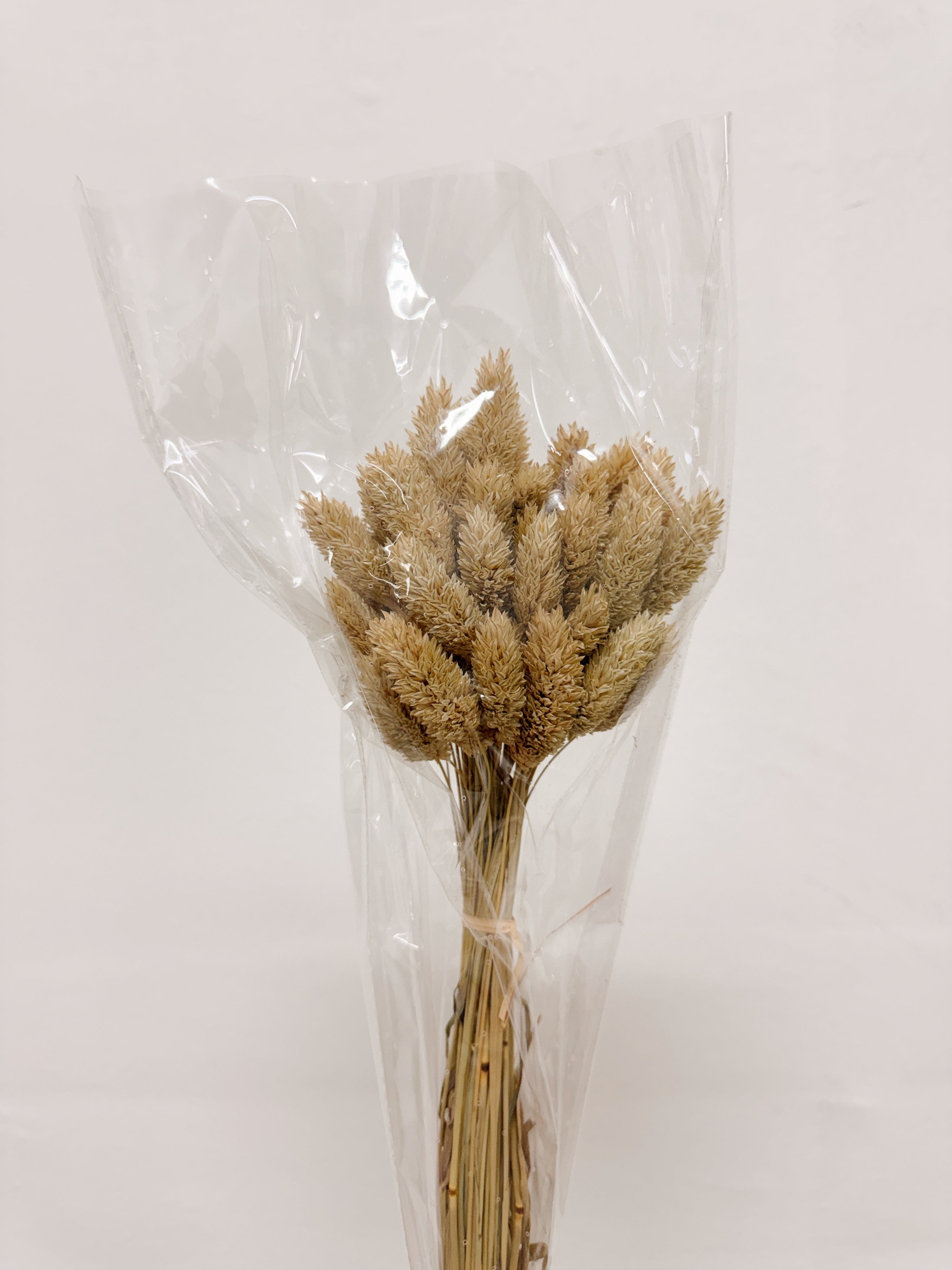 Natural dried phalaris grass home decor, for interior styling etc. Curated by Eden's Ground, floral design studio in Singapore.