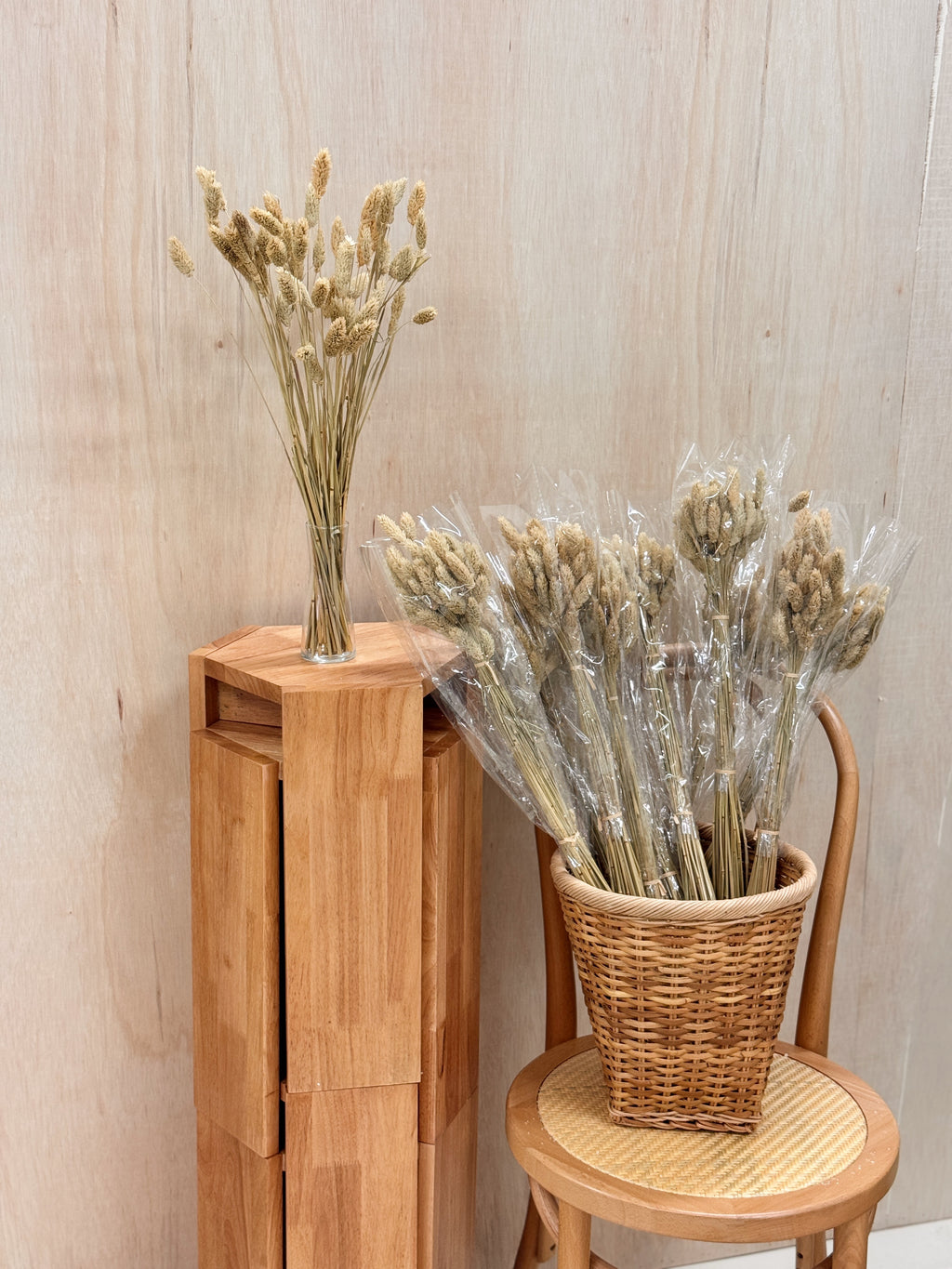 Natural dried phalaris grass home decor, for interior styling etc. Curated by Eden's Ground, floral design studio in Singapore.