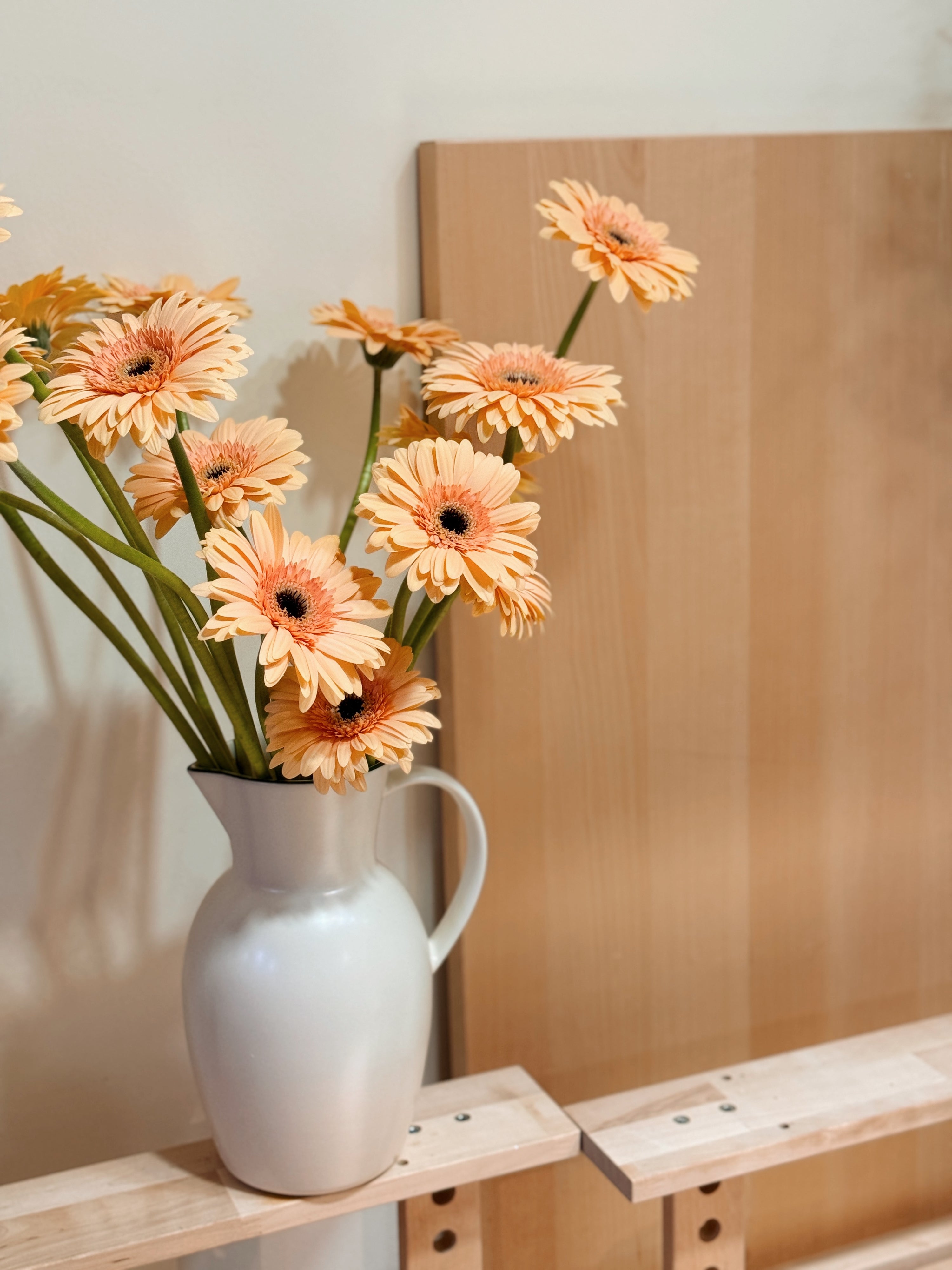 Gerbera Daisy Flowers, specially curated for pet-friendly homes, by Eden's Ground.