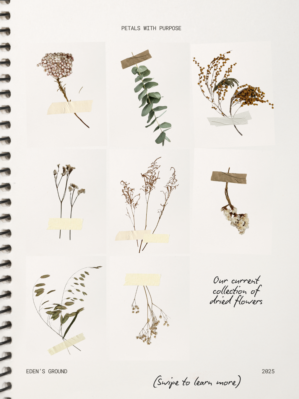 Collection of dried flowers with labels on a spiral-bound notebook cover.