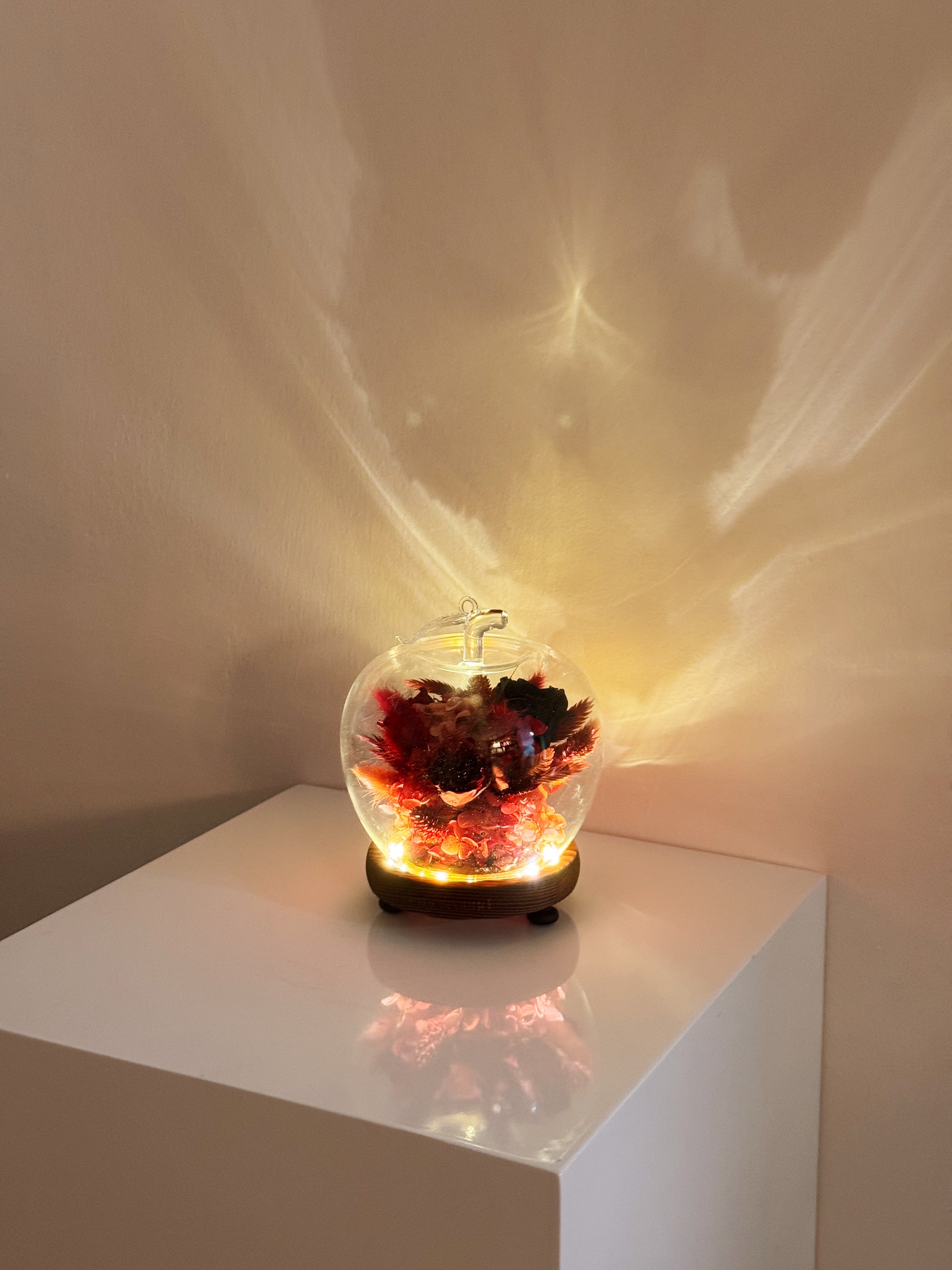 Snow white enchanted apple flower dome, inspired by fairy-tale, made with delicate blend of preserved and dried flowers in deep red tones, beautifully arranged in a lighted apple-shaped glass dome by Eden’s Ground—an enchanting keepsake made to last. 