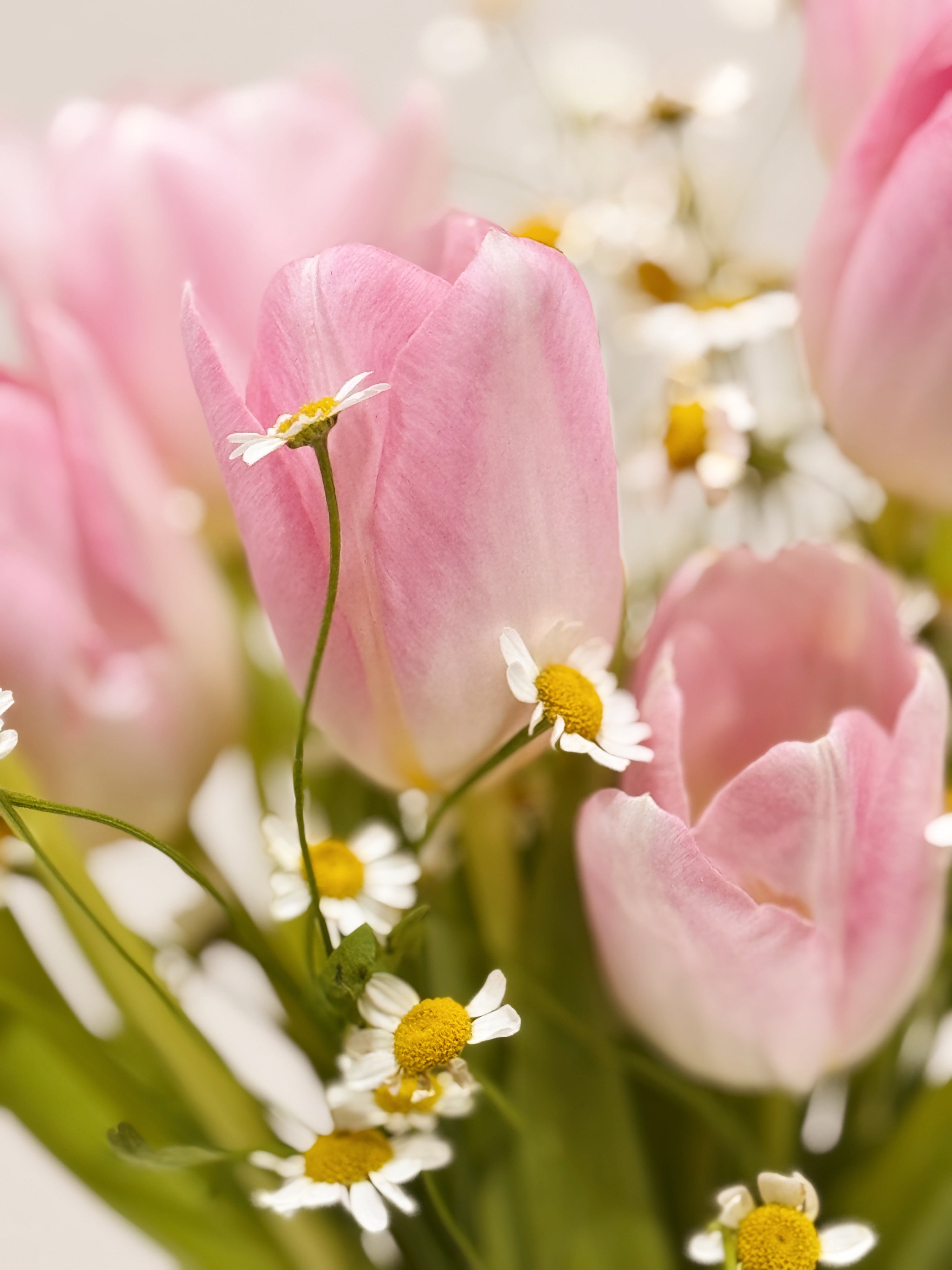 Pink tulip bouquet with chamomile daisies wrapped in tissue paper and brown kraft paper crafted by Eden’s Ground.