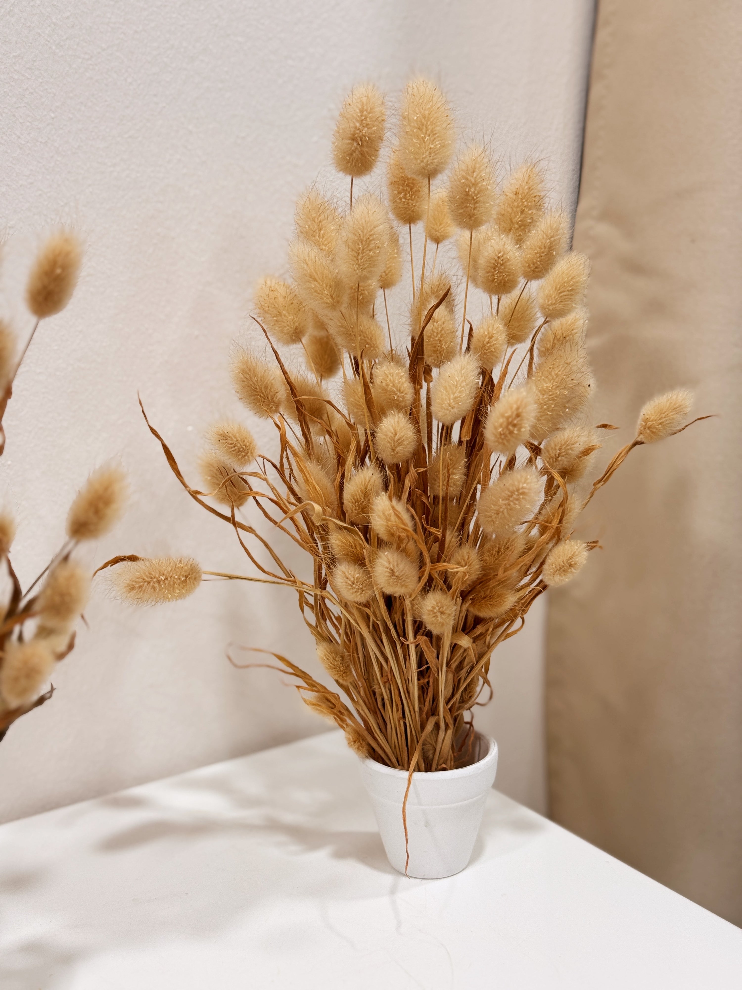 muji home decor interior design stylist house dream home cosy soft cute tails shelving decoration singapore delivery