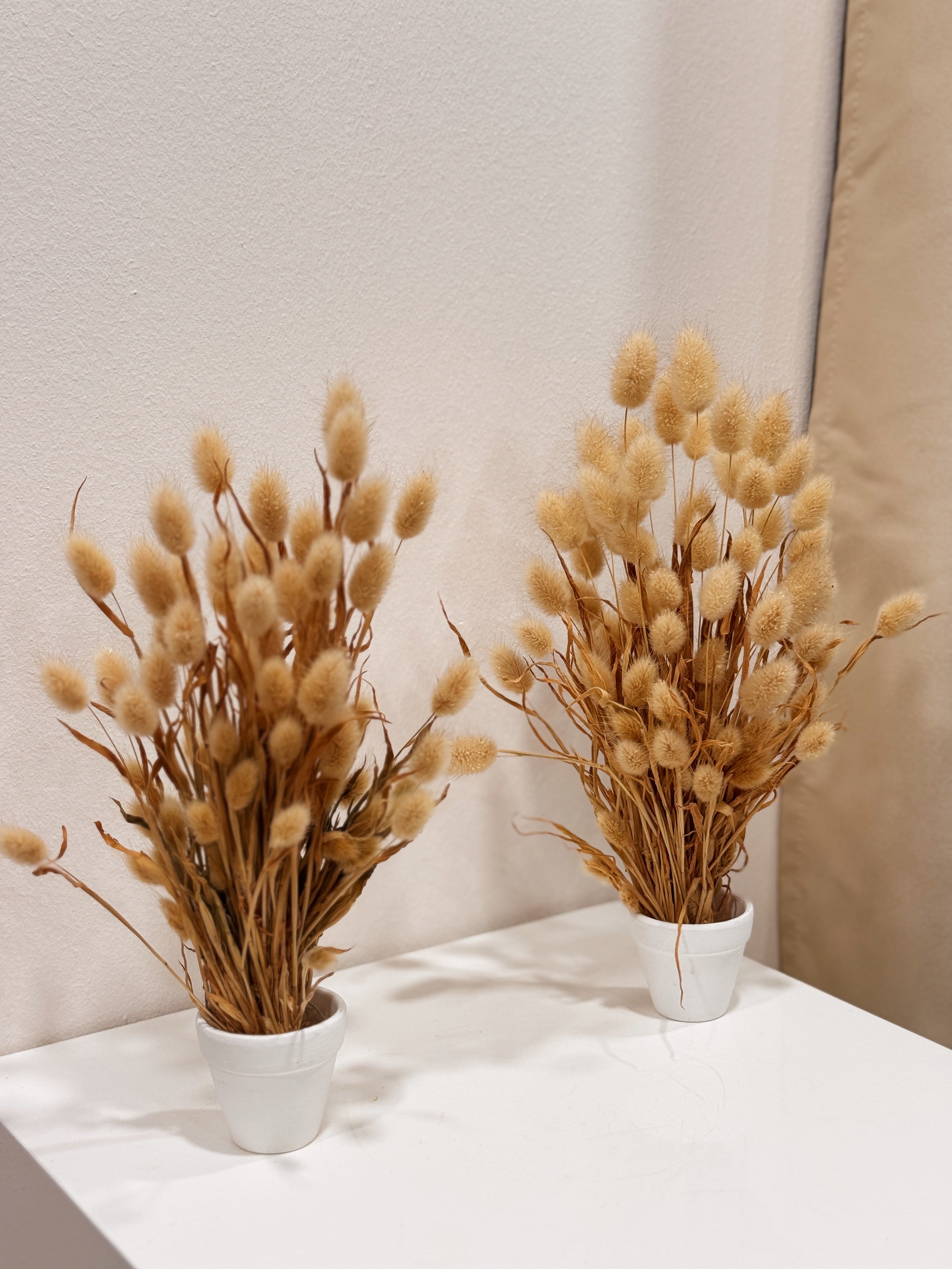 muji home decor interior design stylist house dream home cosy soft cute tails shelving decoration singapore delivery
