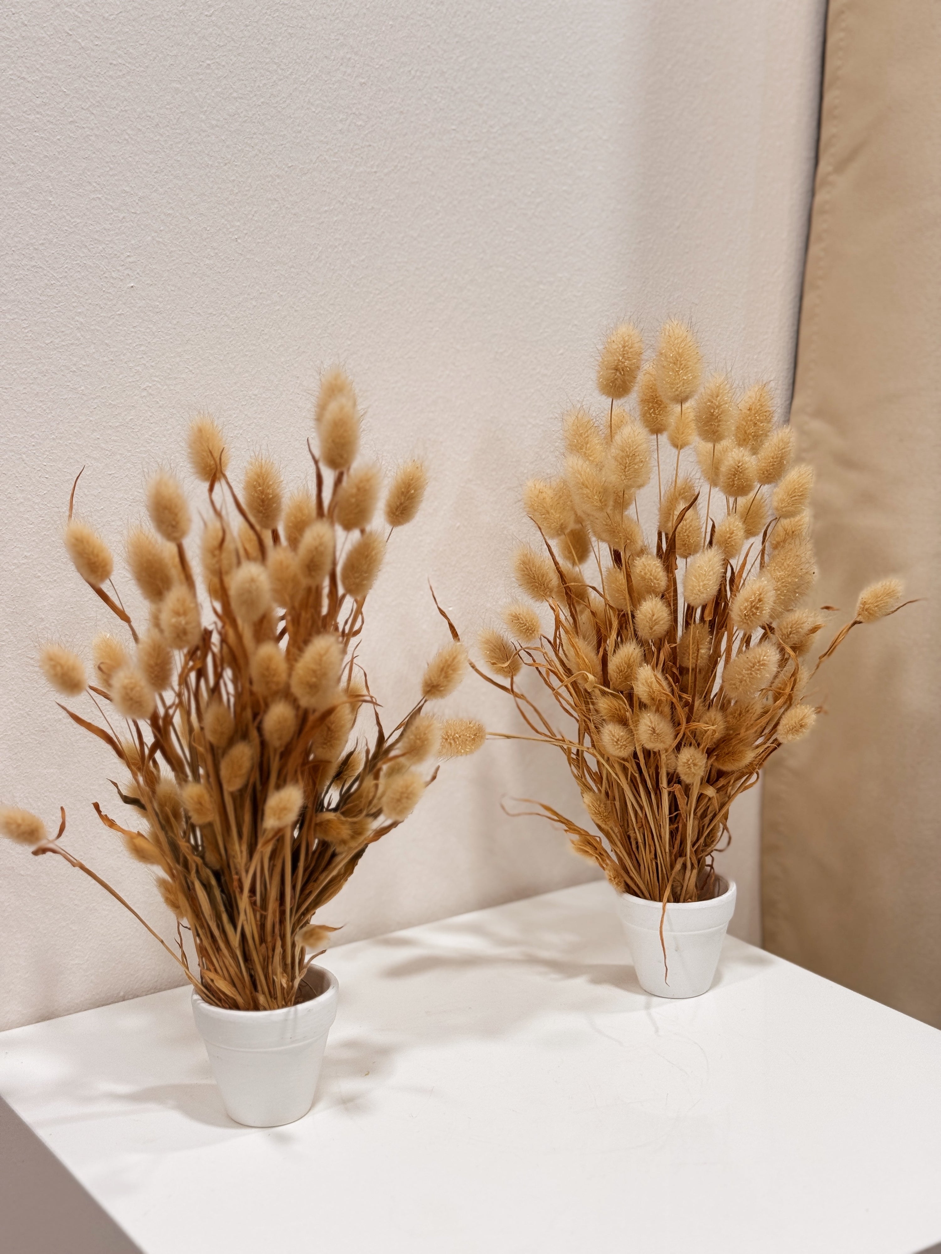 muji home decor interior design stylist house dream home cosy soft cute tails shelving decoration singapore delivery