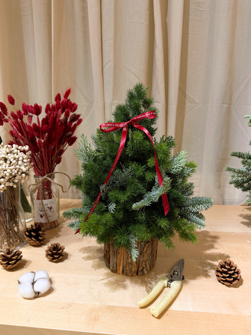 Mini Christmas Tree Making and Decorating Workshop in Singapore, by Eden's Ground, a floral design boutique. For team building/ team-bonding or a fun weekend activity things to do in Tai Seng, east side of Singapore. Creative Weekend Activity suitable for Couples, Family and Friends, to celebrate Christmas together.